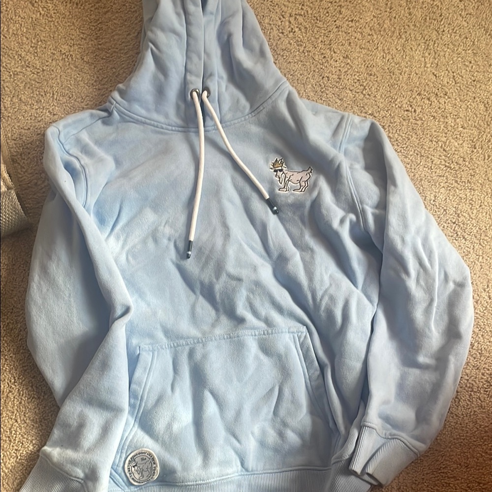 Light Blue Hoodie with Embroidered Logo